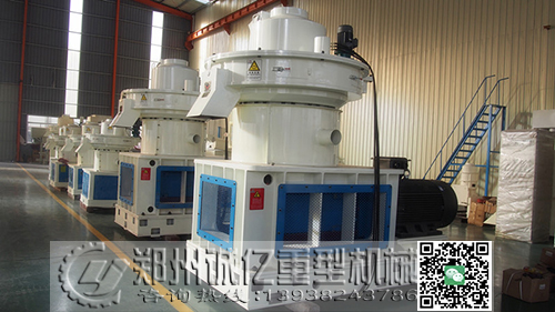 生物质颗粒气化项目